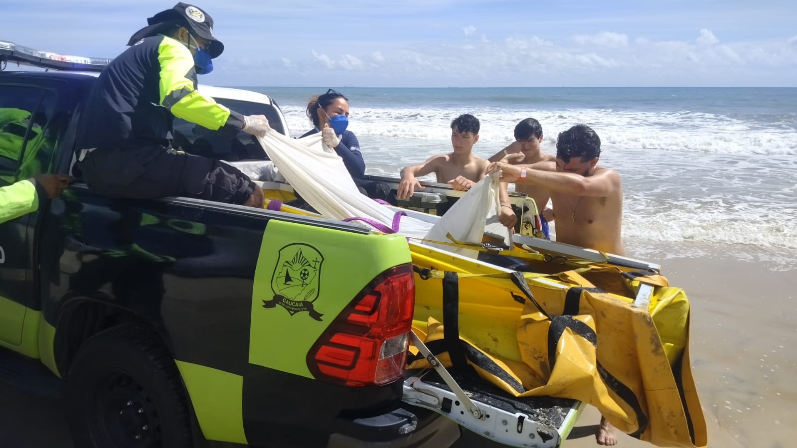 AMT realiza translado de baleia cachalote-anã encontrada na Praia do Cumbuco
